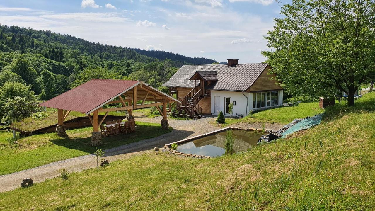 Ferienwohnung Bieszczadzki Dom Ropienka Exterior foto