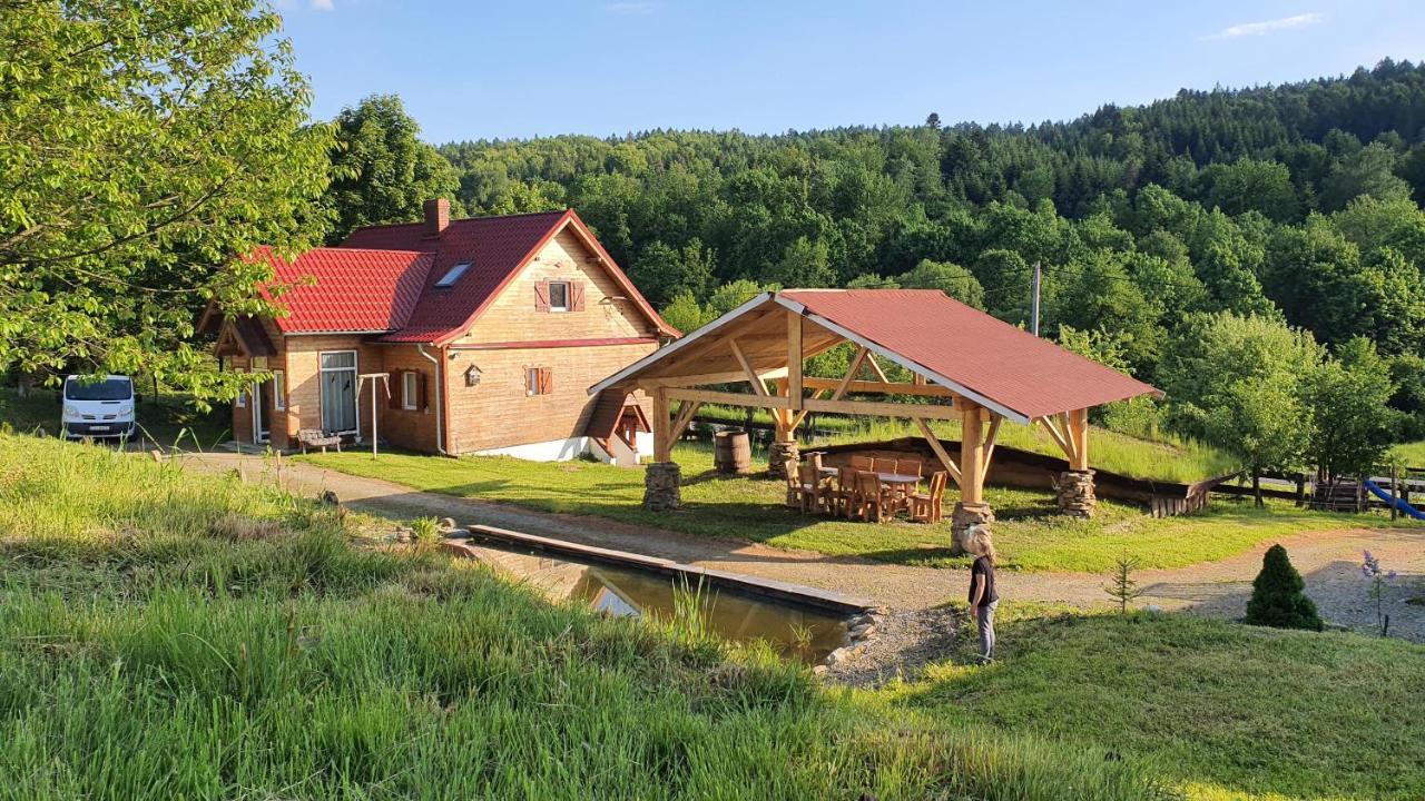 Ferienwohnung Bieszczadzki Dom Ropienka Exterior foto