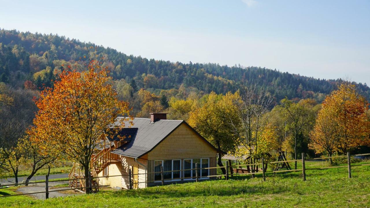 Ferienwohnung Bieszczadzki Dom Ropienka Exterior foto