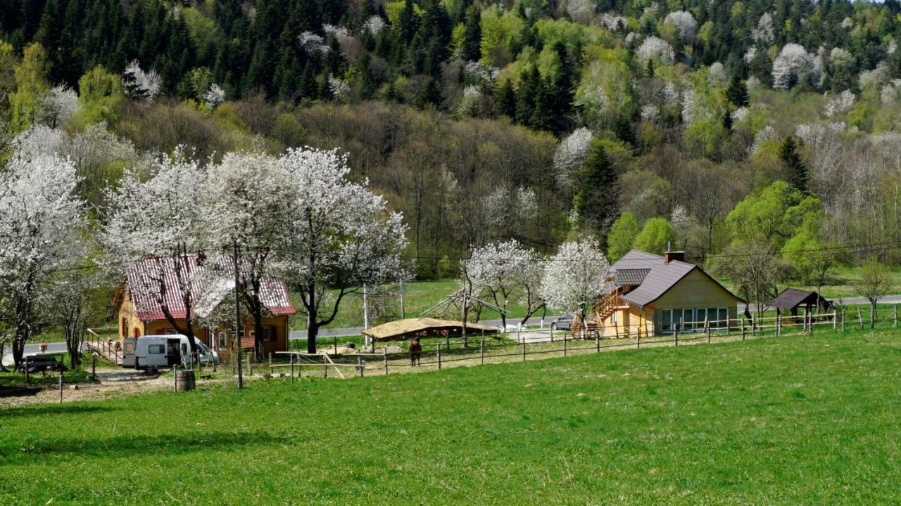 Ferienwohnung Bieszczadzki Dom Ropienka Exterior foto